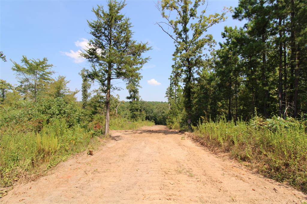 6935 U.S. Highway 175 W - Photo 11