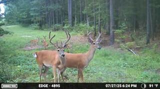 6935 U.S. Highway 175 W - Photo 14