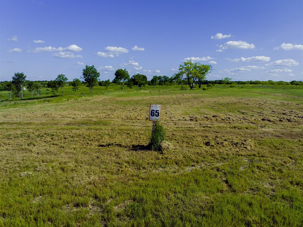 Lot 65 Richland Park - Photo 10