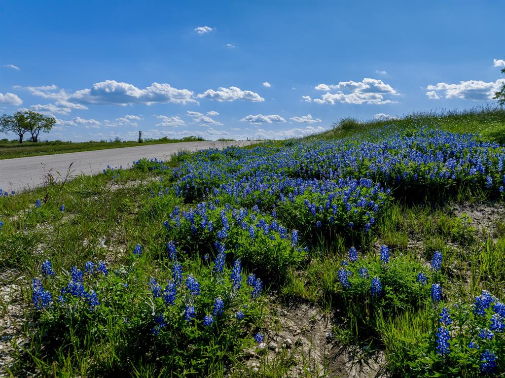 Lot 65 Richland Park - Photo 25