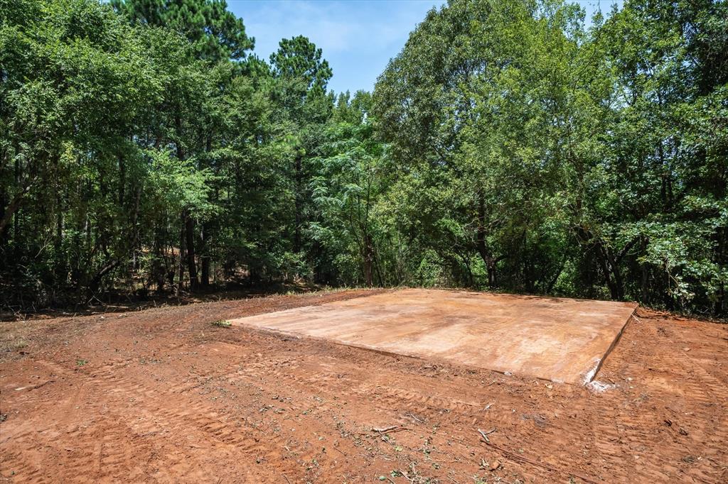 Tract 1 County Road 4102 - Photo 10