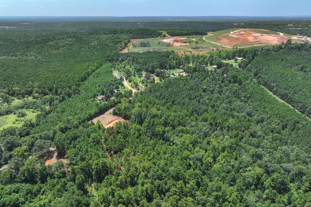 Tract 1 County Road 4102 - Photo 12