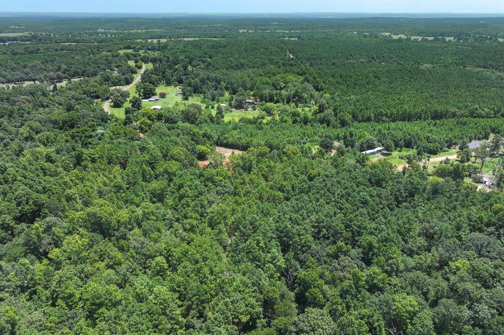 Tract 1 County Road 4102 - Photo 16