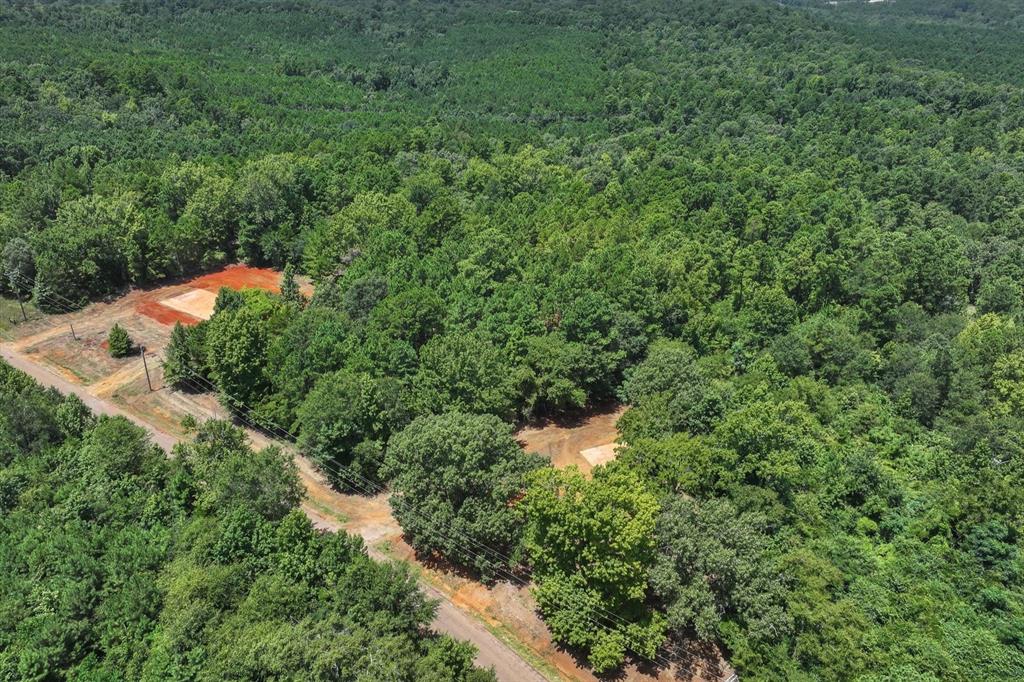 Tract 1 County Road 4102 - Photo 21