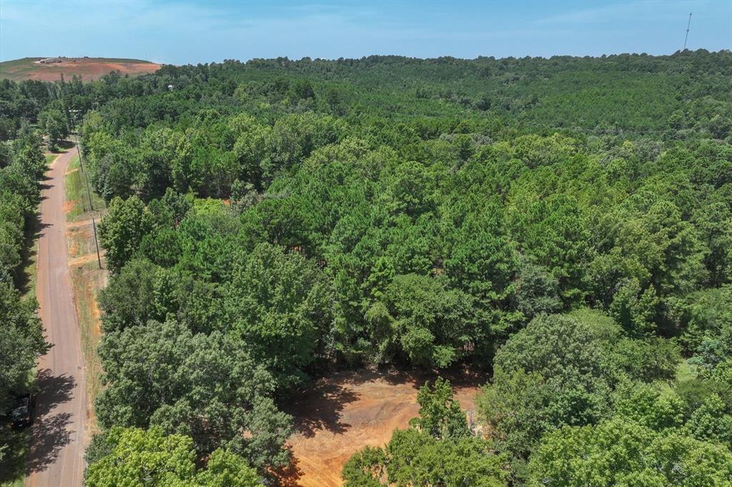 Tract 1 County Road 4102 - Photo 3