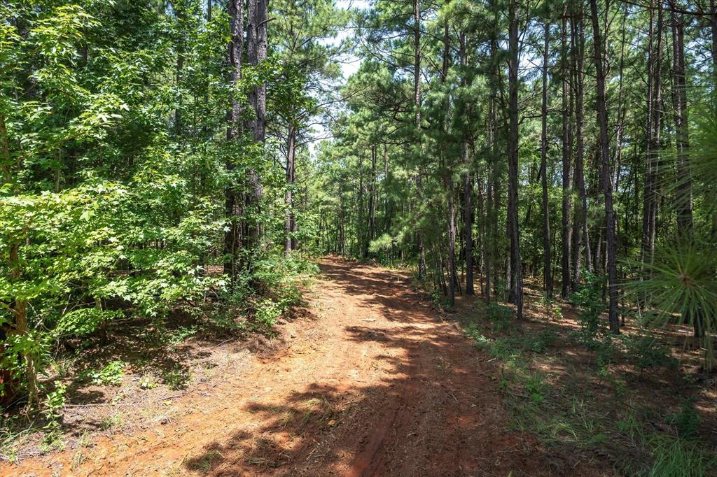 Tract 1 County Road 4102 - Photo 4
