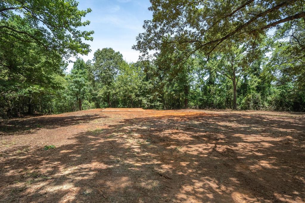 Tract 1 County Road 4102 - Photo 8