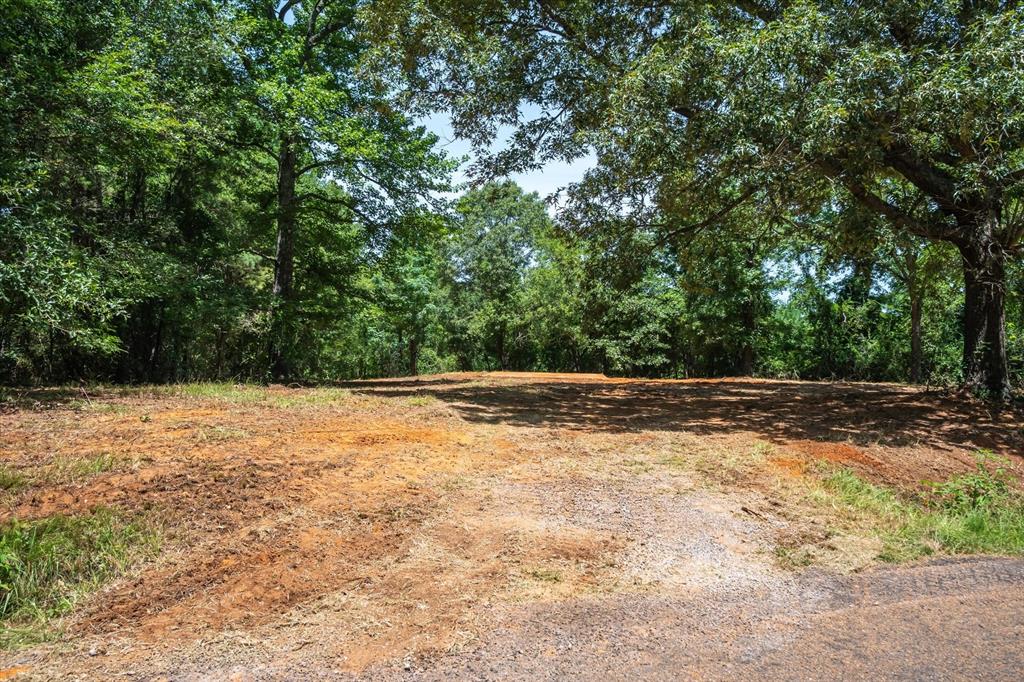 Tract 1 County Road 4102 - Photo 9
