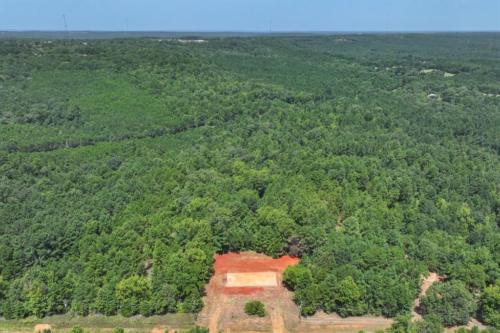 Tract 2 County Road 4102 - Photo 11