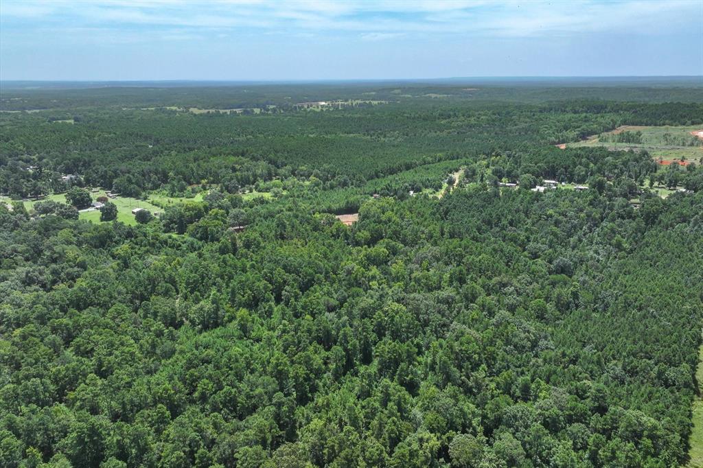 Tract 2 County Road 4102 - Photo 12