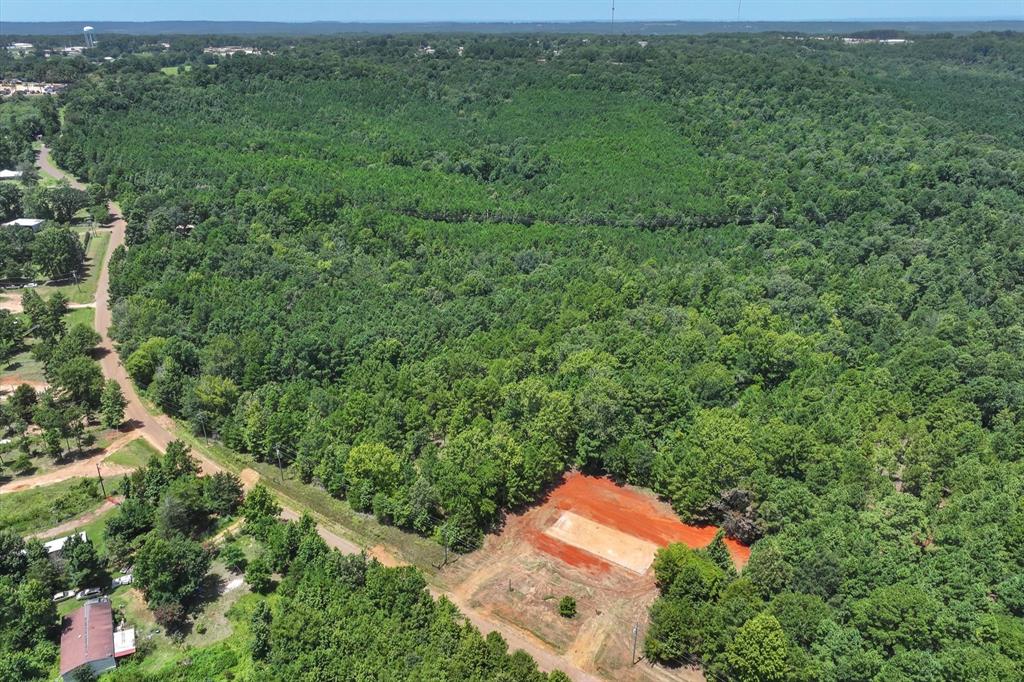 Tract 2 County Road 4102 - Photo 14
