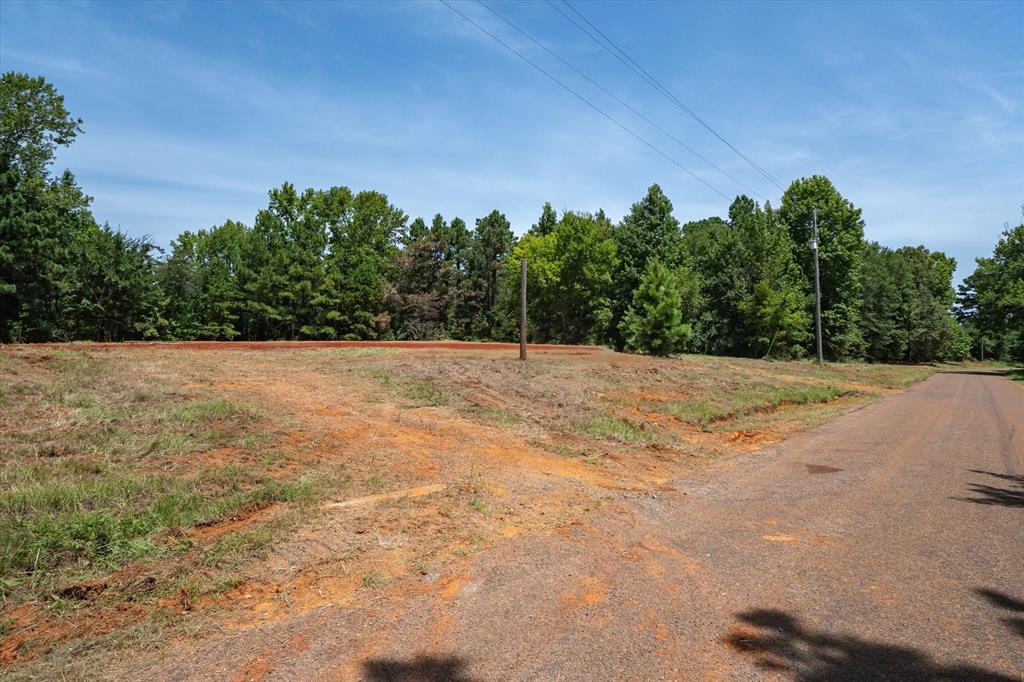Tract 2 County Road 4102 - Photo 17