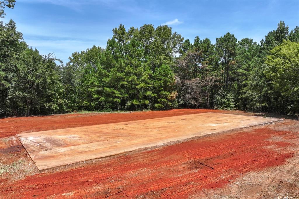 Tract 2 County Road 4102 - Photo 18