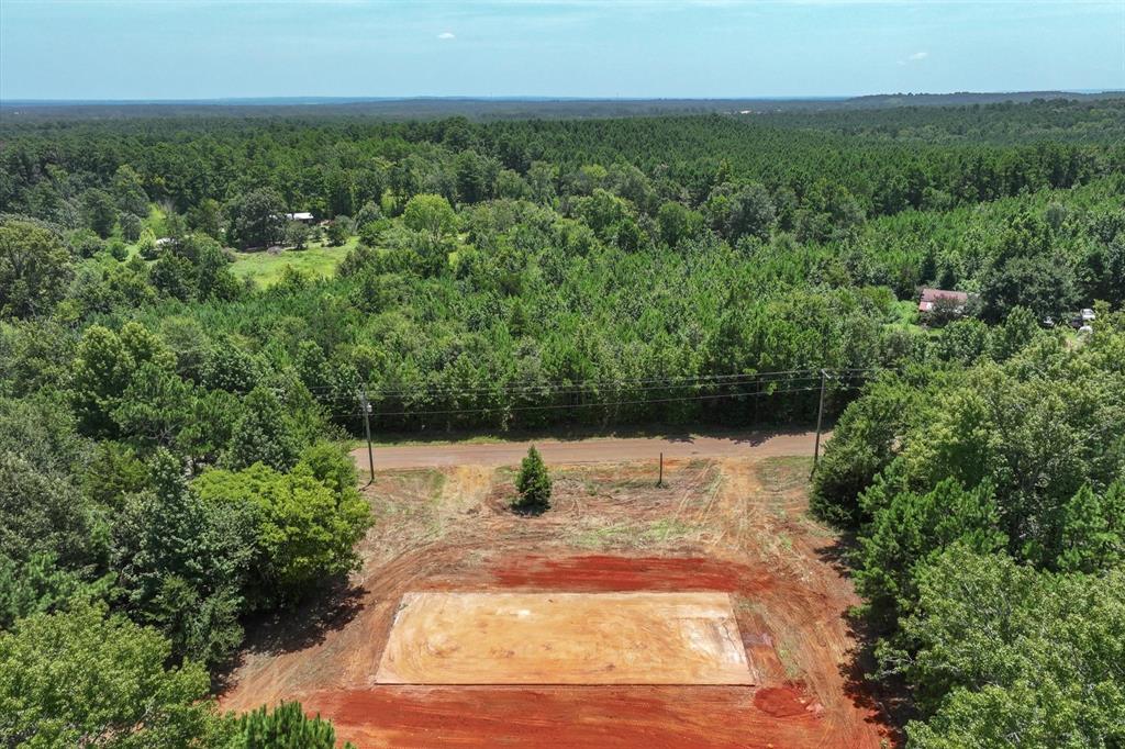 Tract 2 County Road 4102 - Photo 20