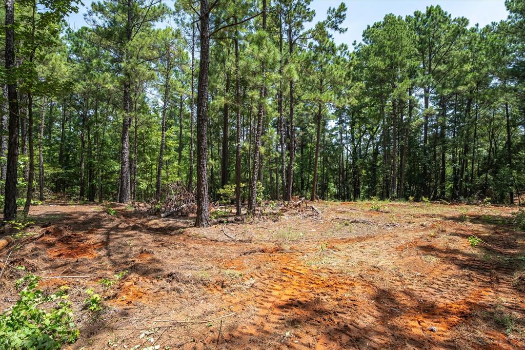 Tract 2 County Road 4102 - Photo 7