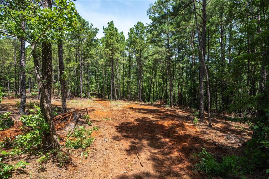 Tract 2 County Road 4102 - Photo 8