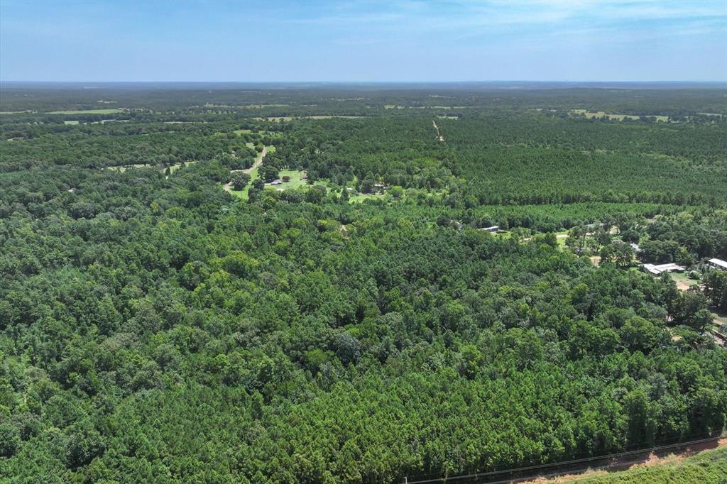 Tract 3 County Road 4102 - Photo 11