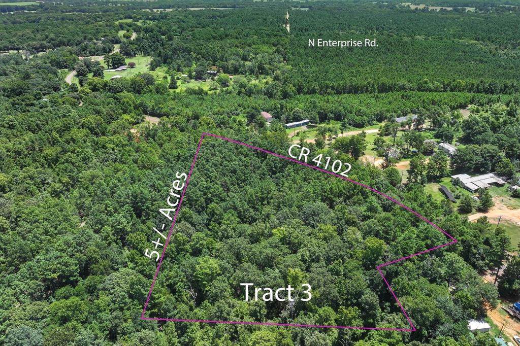 Tract 3 County Road 4102 - Photo 2