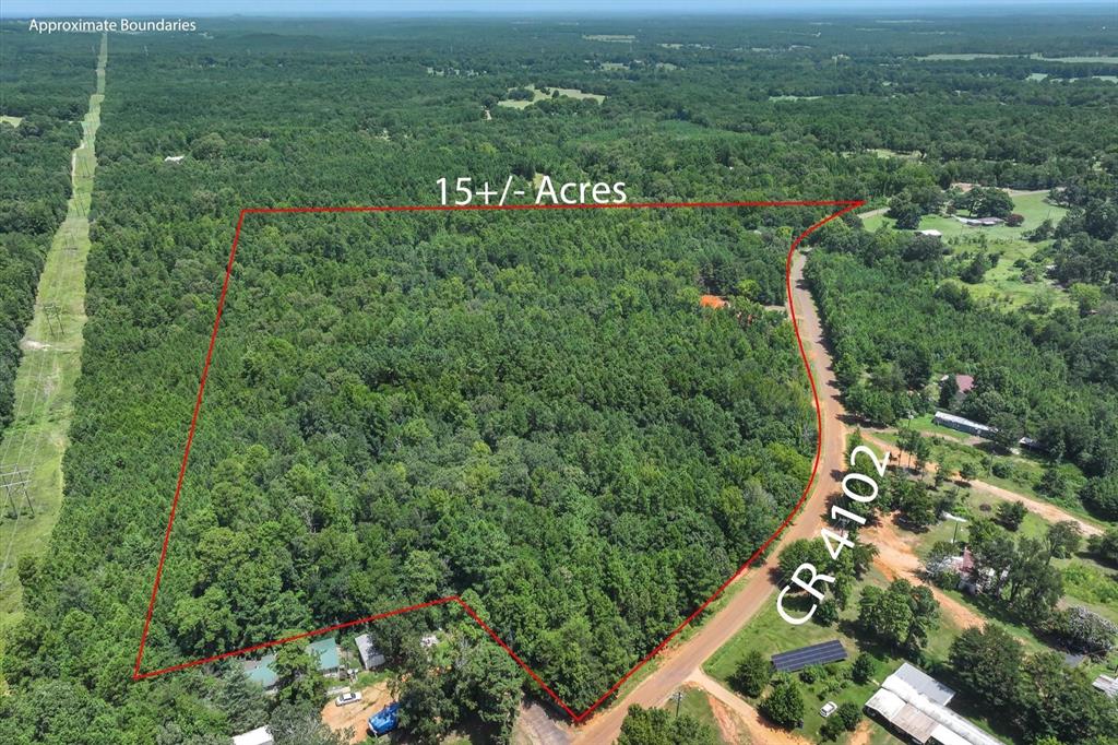 Tract 3 County Road 4102 - Photo 22