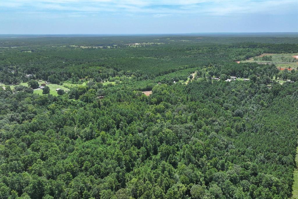 Tract 3 County Road 4102 - Photo 5
