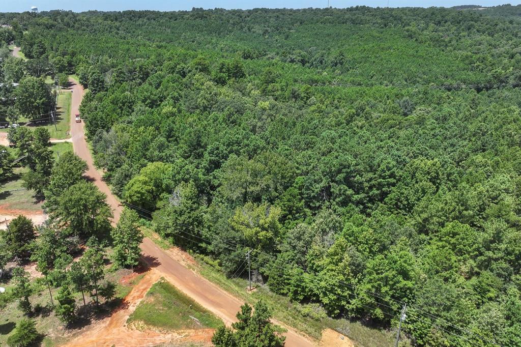 Tract 3 County Road 4102 - Photo 8
