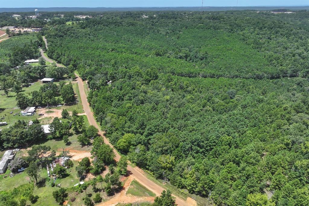 Tract 3 County Road 4102 - Photo 9