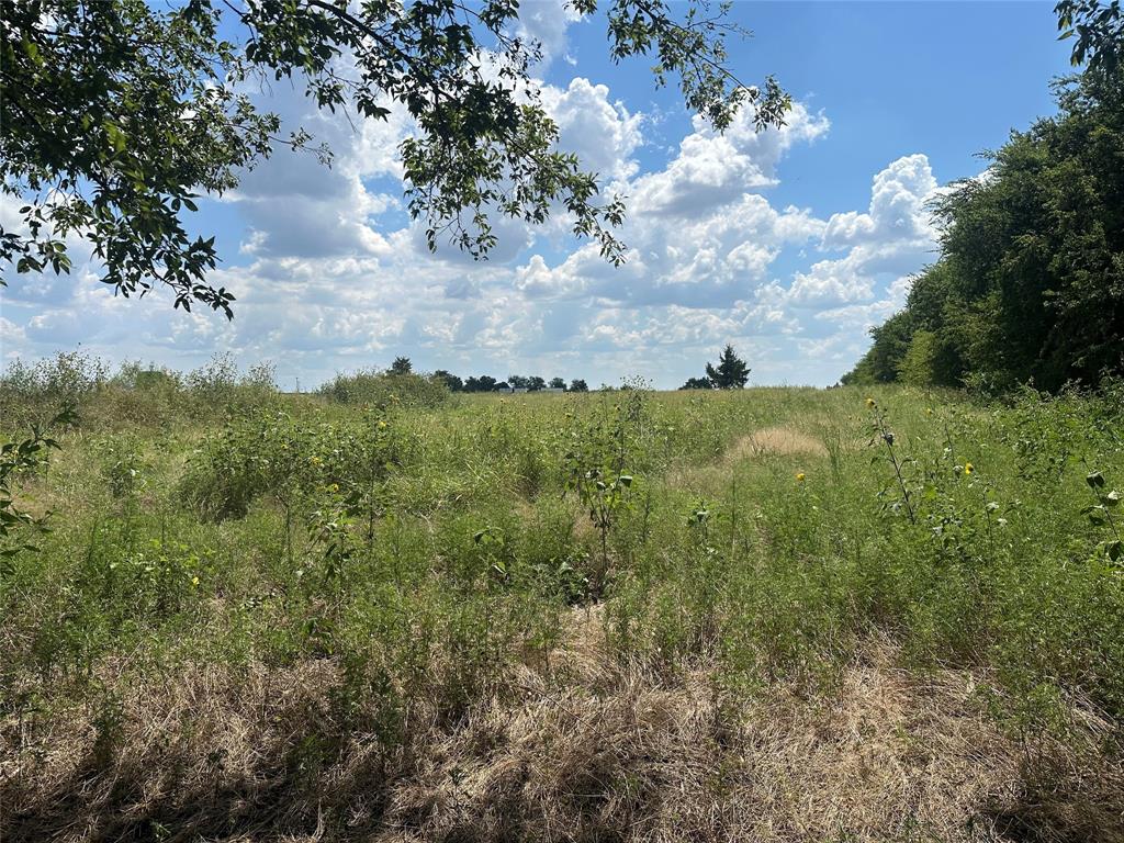 Lot 4 Rutledge Road - Photo 3