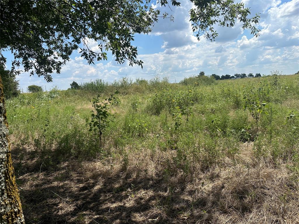 Lot 4 Rutledge Road - Photo 4