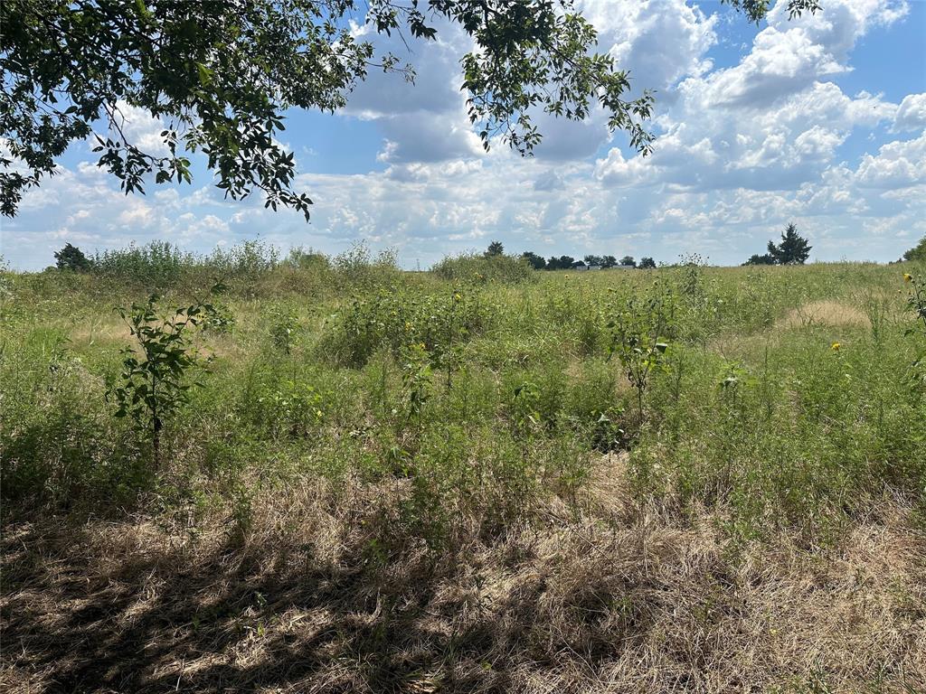 Lot 4 Rutledge Road - Photo 5