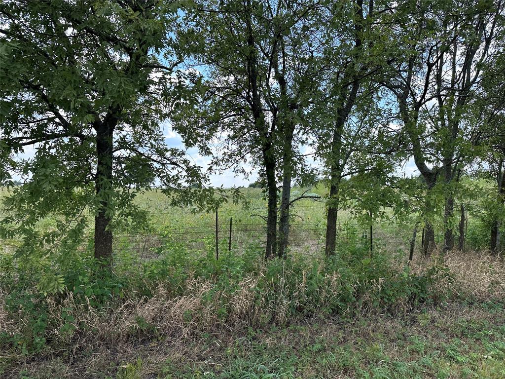 Lot 5 Rutledge Road - Photo 8