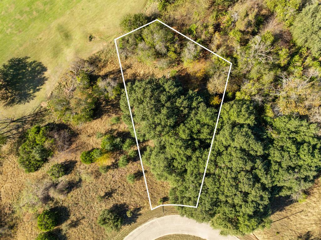 40 LOTS White Bluff - Photo 1