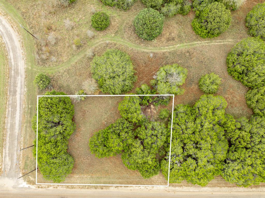 40 LOTS White Bluff - Photo 10