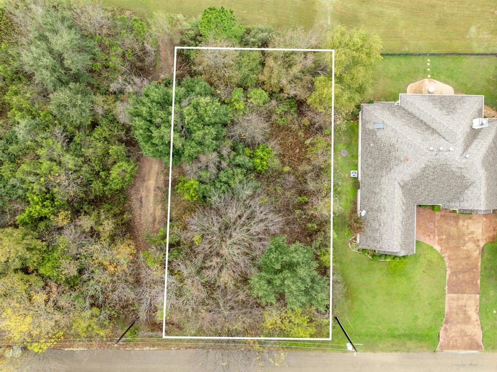 40 LOTS White Bluff - Photo 2
