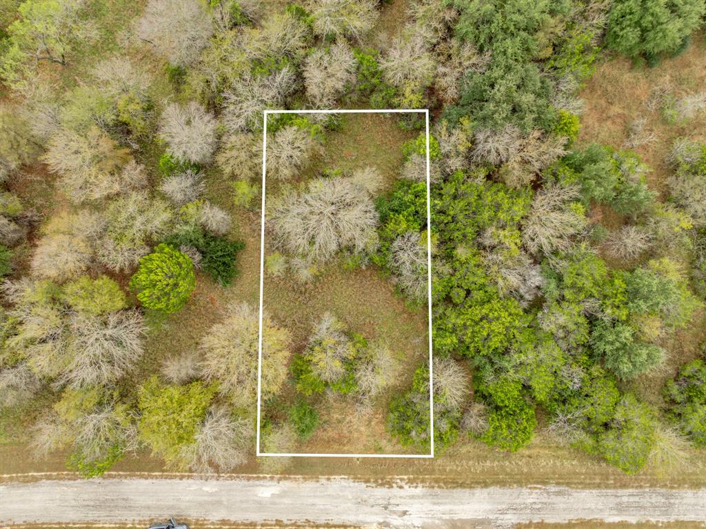40 LOTS White Bluff - Photo 20
