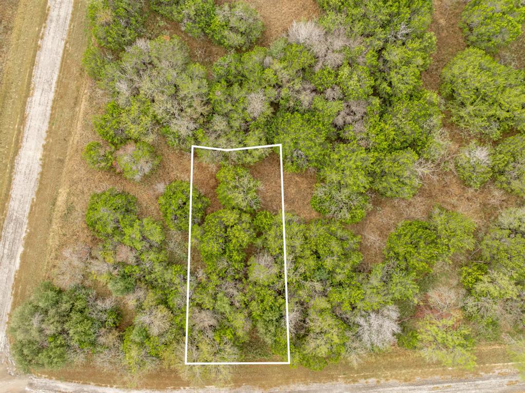 40 LOTS White Bluff - Photo 22
