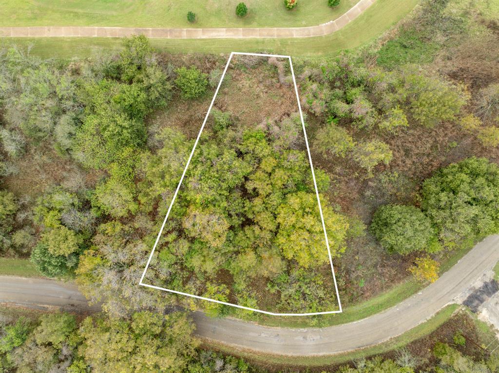 40 LOTS White Bluff - Photo 3