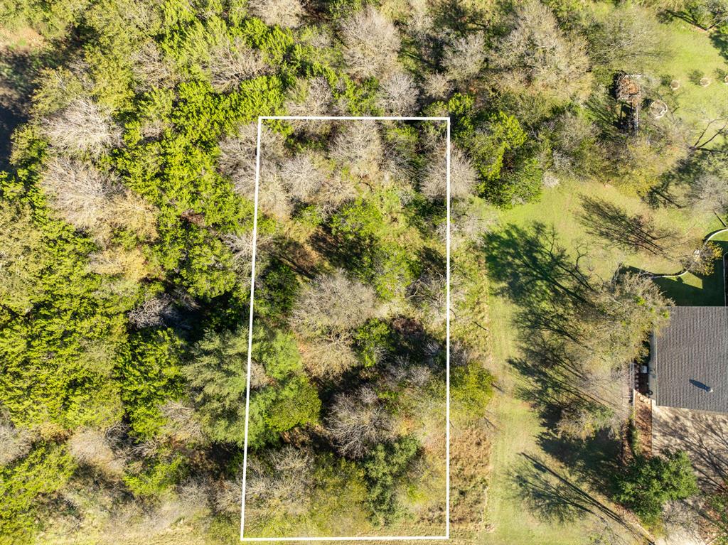 40 LOTS White Bluff - Photo 31