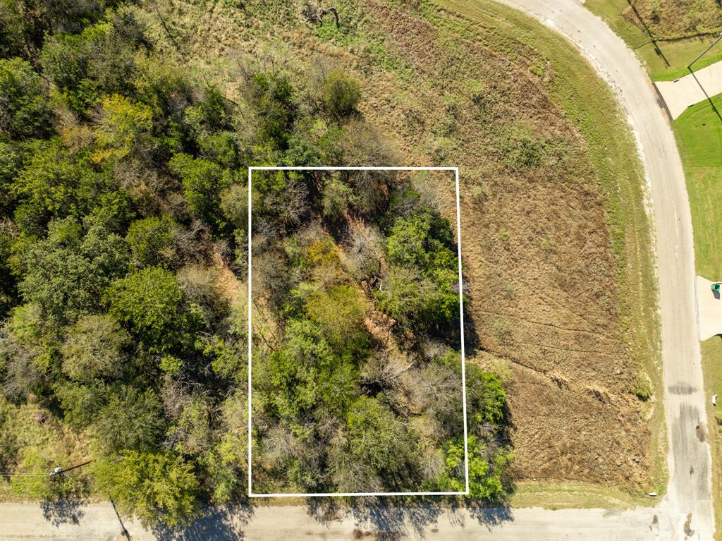 40 LOTS White Bluff - Photo 32