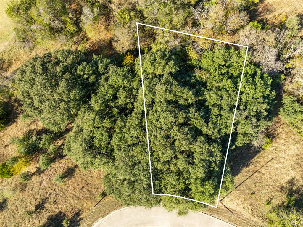 40 LOTS White Bluff - Photo 39