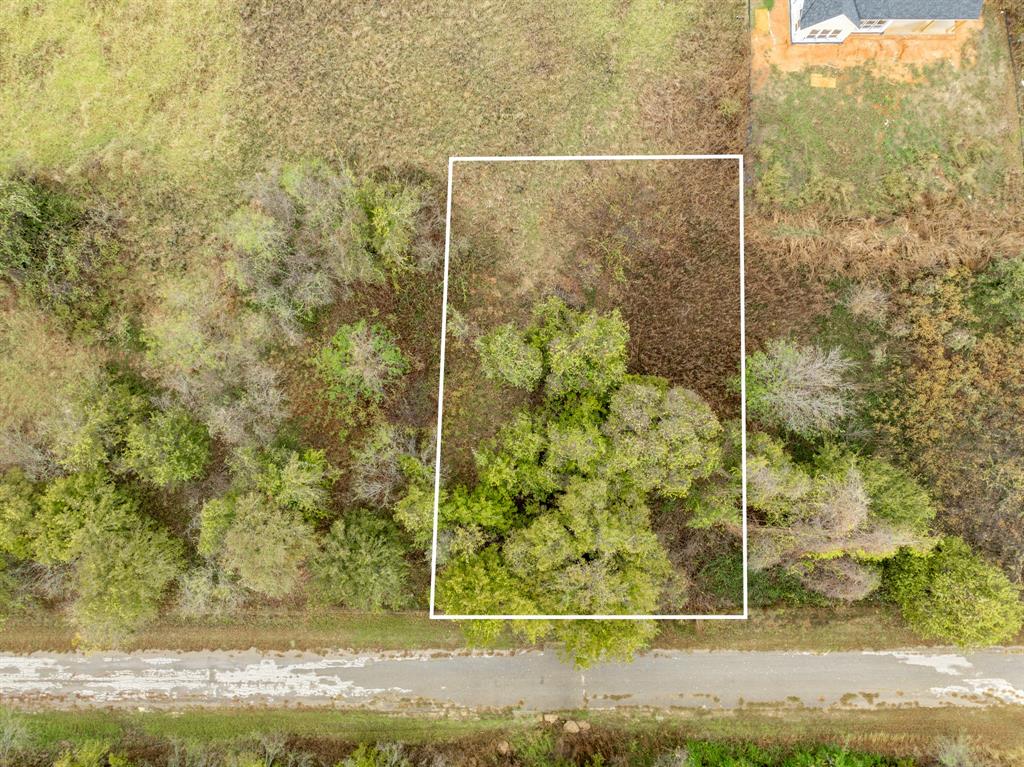 40 LOTS White Bluff - Photo 6