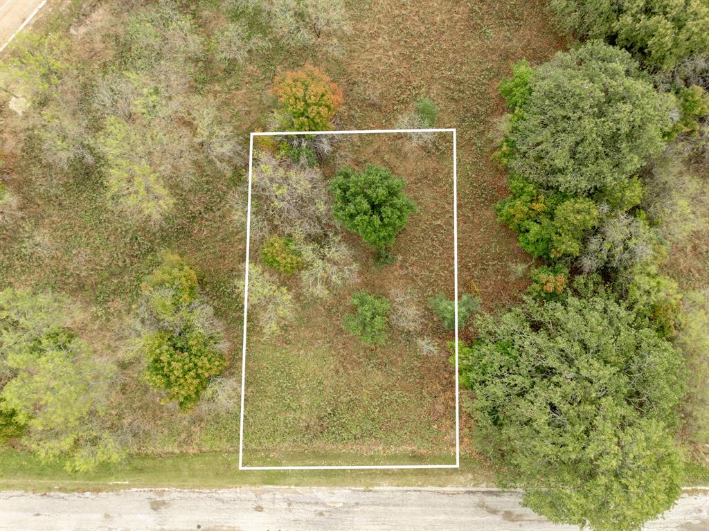 40 LOTS White Bluff - Photo 7