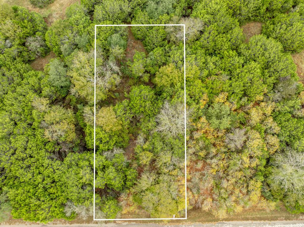 40 LOTS White Bluff - Photo 9