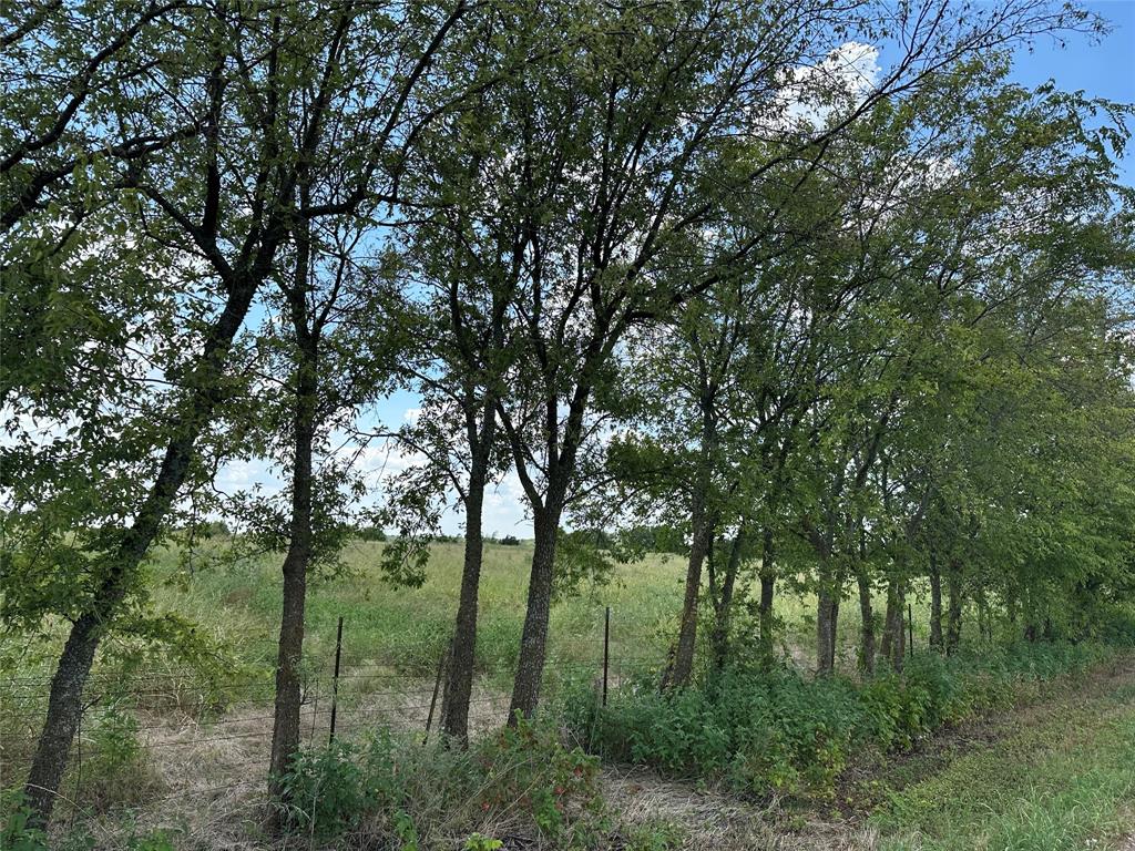 Lot 7 Rutledge Road - Photo 13