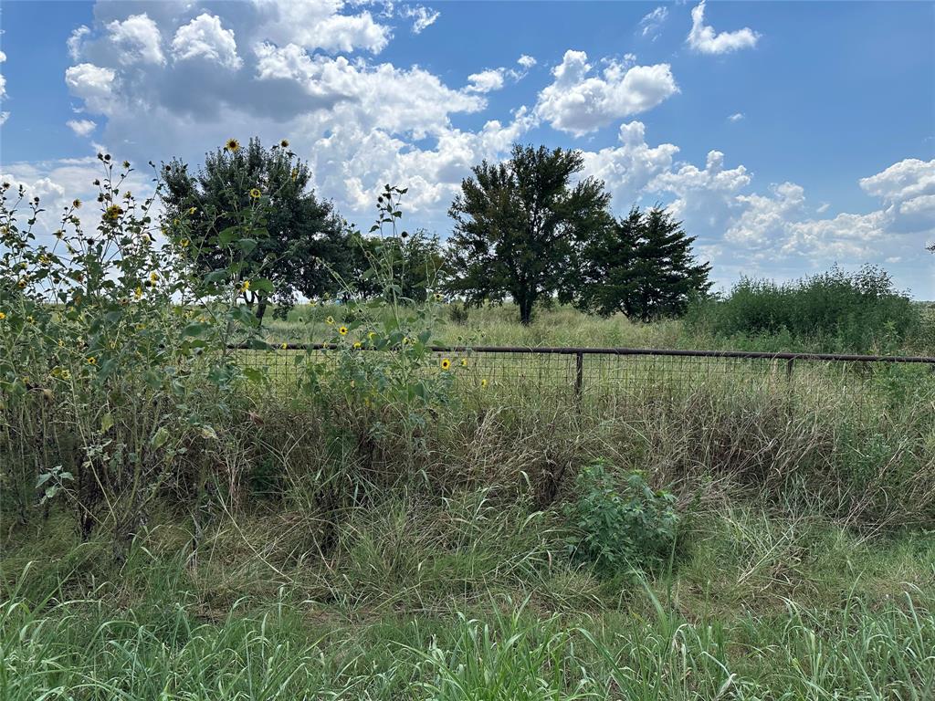 Lot 7 Rutledge Road - Photo 6