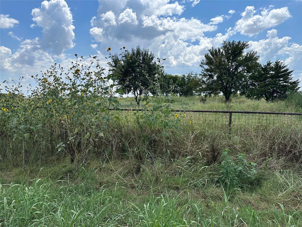 Lot 7 Rutledge Road - Photo 7