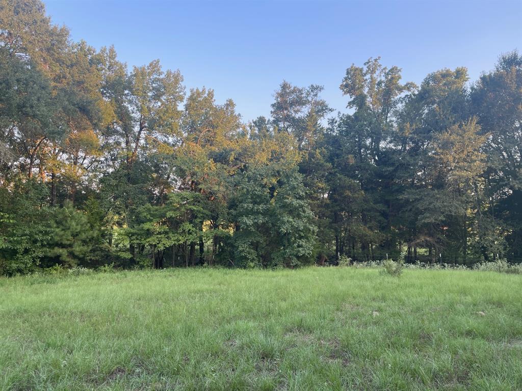 0000 FM 2909 & PR 8905 - Photo 3