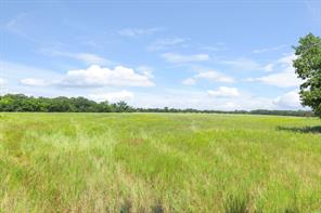 1276 Dixie Road - Photo 6