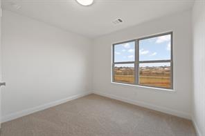 10305 Livestock Avenue - Photo 19
