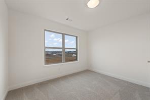 10305 Livestock Avenue - Photo 21