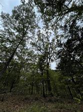 0016 CR 1915 - Photo 7